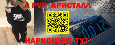 гидра Камышлов
