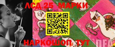 гидра Камышлов