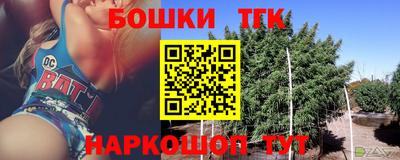 гидра Камышлов