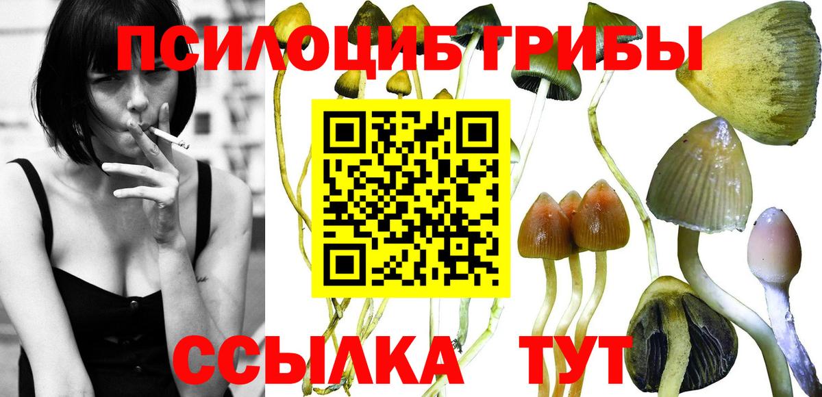 Псилоцибиновые грибы мухоморы Куйбышев