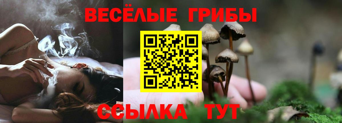 Галлюциногенные грибы Magic Shrooms  Вход с VPN  где купить наркоту  Куйбышев 
